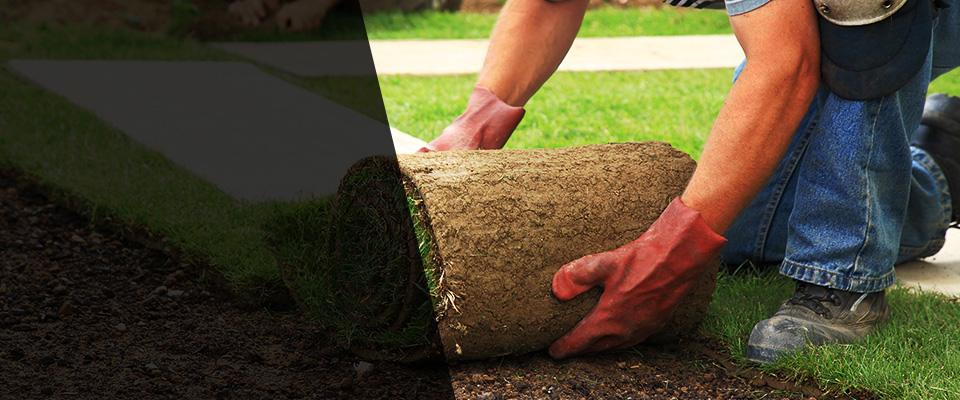 Frankenmuth Landscapers